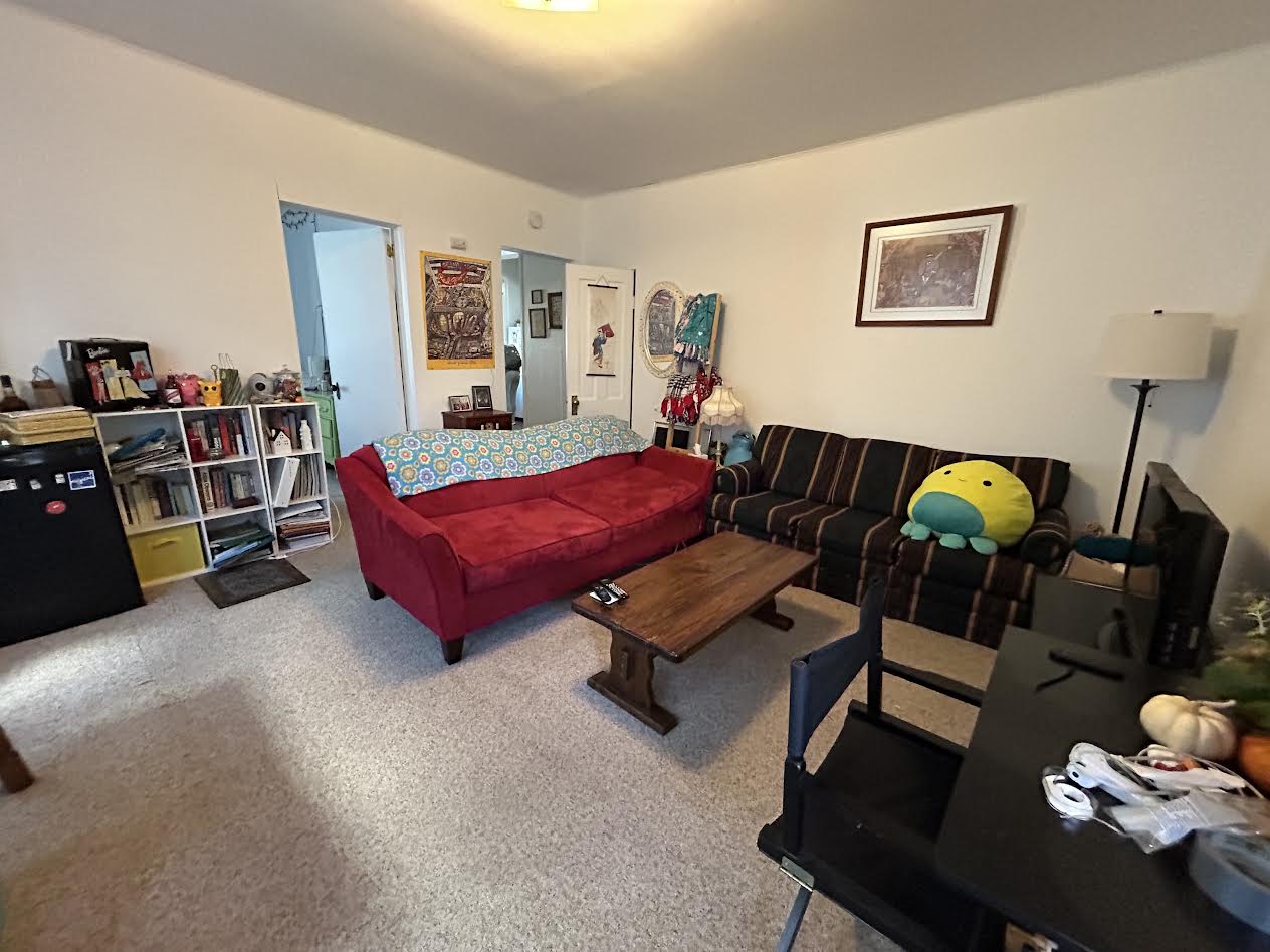 217/219 N. Pickney Street - 219-1