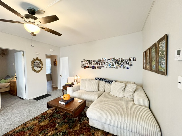 217/219 N. Pickney Street - 219-1