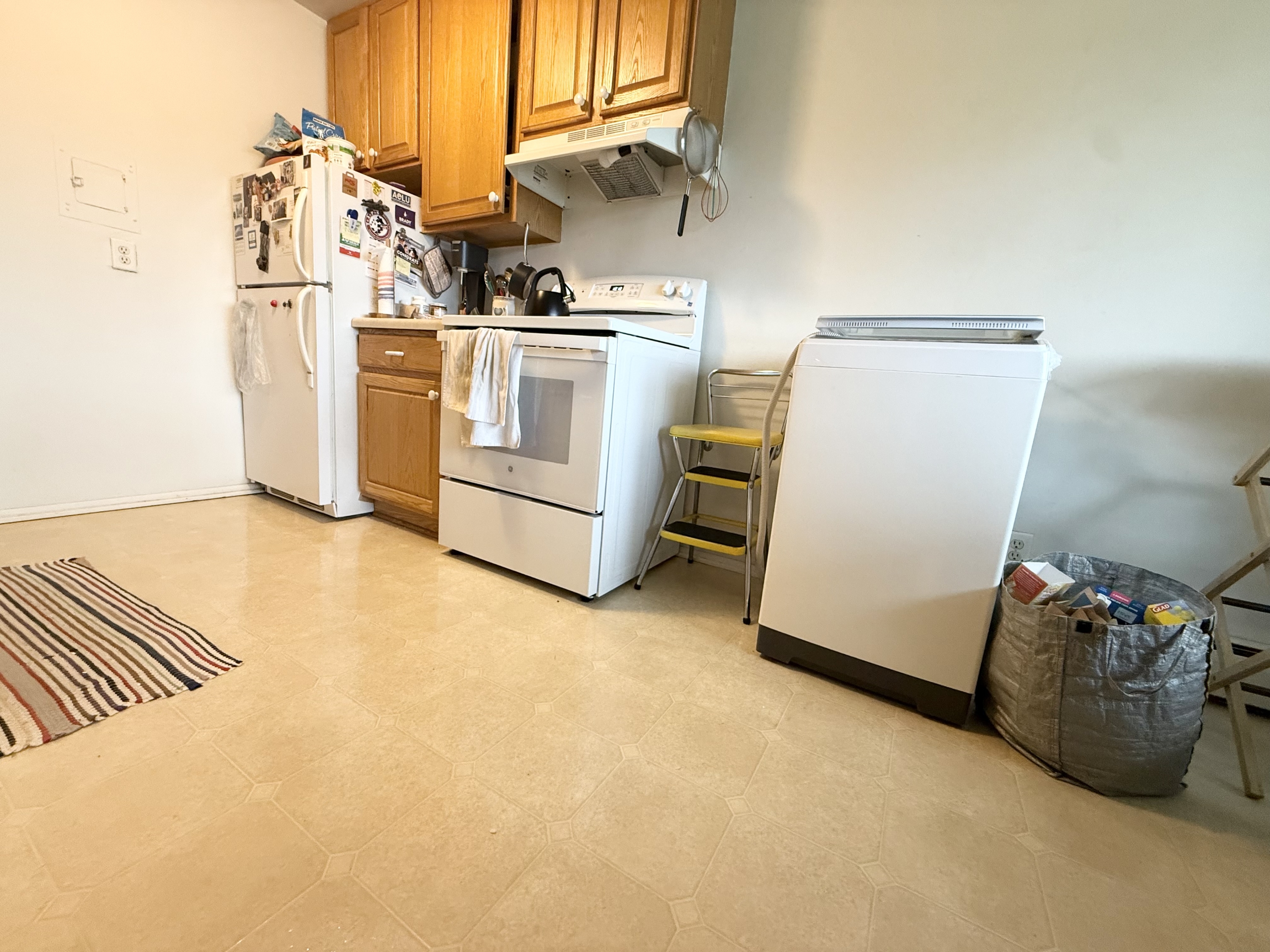 4513 Leo Drive - 4