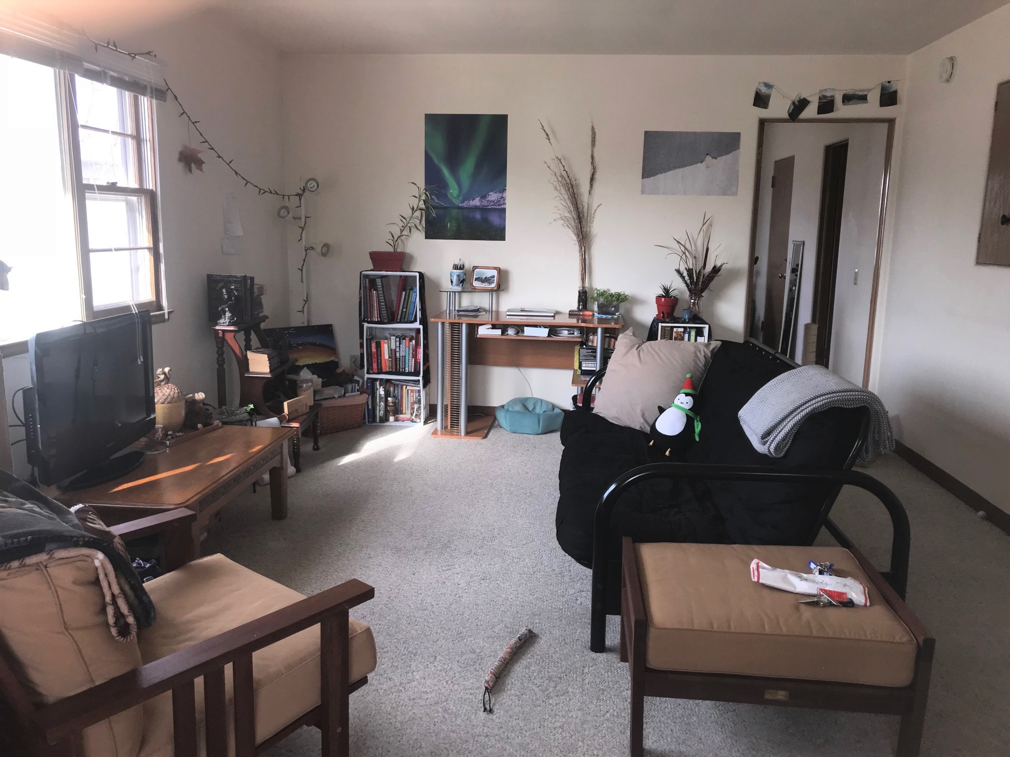 Property thumbnail image